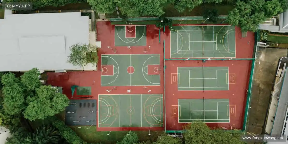 🚀与全球球迷同频，赛事官网点燃你的运动 DNA！